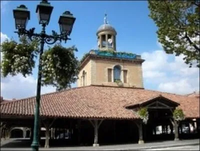 Dans quel dpartement se trouve la ville de Revel ?