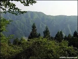 Qu'est-ce qui recouvre les 65% de l'archipel ?