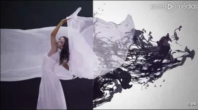 De quel clip cette image est-elle extraite ?