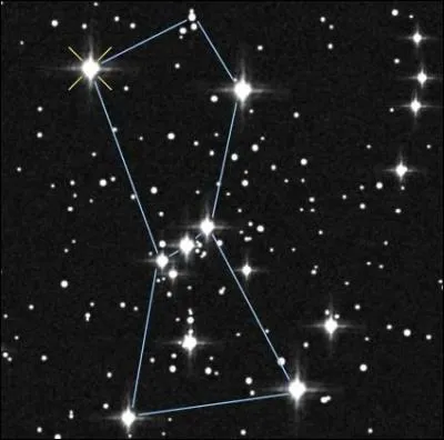 Quelle crature convient  cette constellation ?
