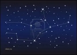 Quelle crature convient  cette constellation ?