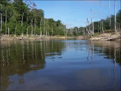 Nom issu d'un nid d'hymnoptres, il est galement synonyme d'un pige dans lequel il vaut mieux ne pas se fourrer !