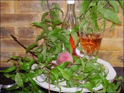 Tout cela donne soif ! Un petit vin de ------ de pcher vous tente-t-il ? Oui, mais comment doit-on le prparer ?