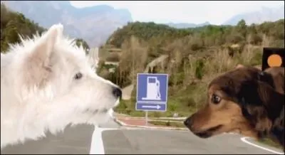 Grce  l'histoire d'amour naissante entre deux chiens, le constructeur automobile nous fait dcouvrir sa nouvelle voiture. Il s'agit de...