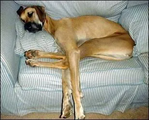 Qui est l'auteur de cette citation : La rverie est la vapeur de la pense ?