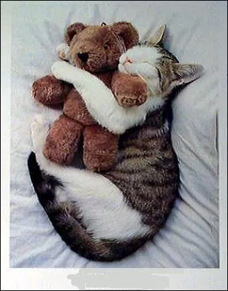 Terminez les paroles de cette comptine enfantine, faon Ch'ti : Dors mon p'tit Quinquin !