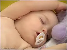 Quelle est l'espce de ce petit animal ?