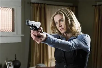 Anna dclare  l'humanit venir en paix sur terre. Qui est l'agent du FBI qui dcouvre que les visiteurs sont prsents sur terre depuis bien plus longtemps ?