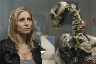 Quelles sont les intentions des visiteurs ?