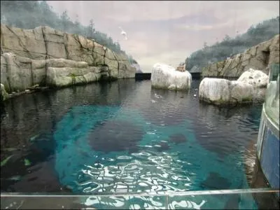 Qu'est devenu aujourd'hui ce splendide vlodrome ?