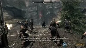 Parlons des Sombrages : si vous vous chappez d'Helgen avec l'Imprial, comment faites-vous pour obtenir l'objectif :  rejoignez la rbellion des Sombrages  ?