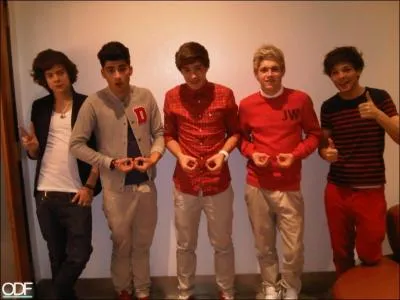 Qui est le garde du corps des 1D ?