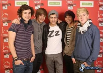 Qui avait une mche blonde ?