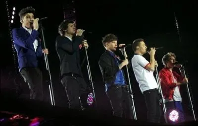 Combien d'albums auront-ils faits en fin de 2013 ? (Aprs Nol)