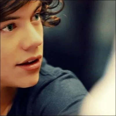 Quel est l'autre surnom de Harry ?