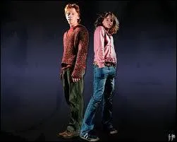 Comment s'appellent les deux meilleurs amis de Harry ?