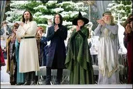 Qui choisit les candidats pour le Tournoi des Trois Sorciers ?