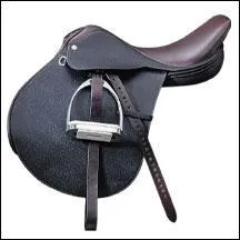 Qu'est-ce qui ne fait pas partie de la selle ?