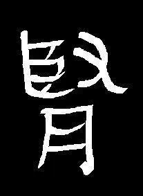 L'nergie Xin Ji,  la rserve des rserves , que fabrique le rein, sert  produire :