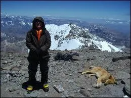 L'Aconcagua, plus grand mont en :
