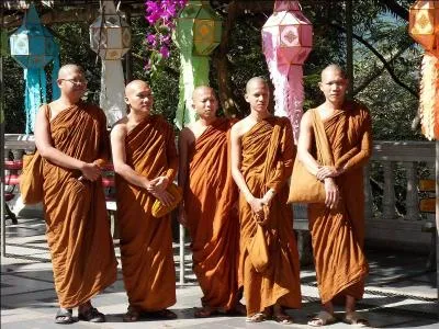 Que dsigne t-on en Thalande par le mot  kato  ?