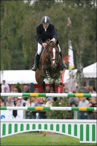 Que fait ce cheval ?