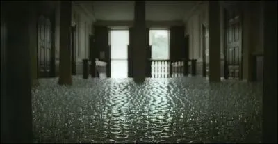 Qui chante : Rolling in the deep ?