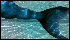 Qui chante : Starships ?