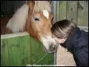 Que fais-tu pour prouver aux chevaux que tu les aimes?