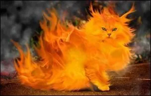 Il va dclarer sa flamme ! En 2006, le nouveau piment le plus fort que l'on puisse trouver dans le monde tait le :