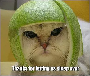  Chat  va chauffer, soldat ! Le citron est un :