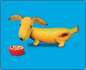 De la glace dans la gamelle ! John Curry est un quintuple champion de Grande-Bretagne et champion olympique et du monde en 1976. Mais dans quelle discipline ?