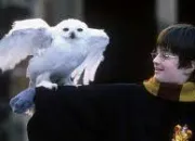Quiz Harry Potter : les personnages