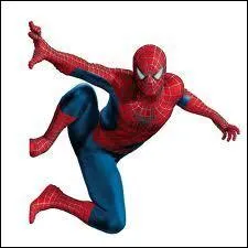 Qui est ce super-hros ?