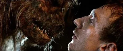 Sur cette le, ils n'ont qu'une seule devise : Telle est la loi !