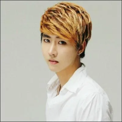 Qui est le rappeur principal ?