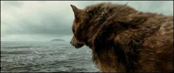 Que veut dire s'imprgner ?