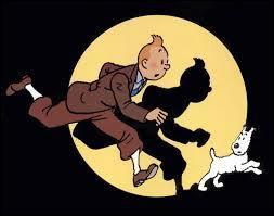 Le meilleur ami de Tintin s'appelle :