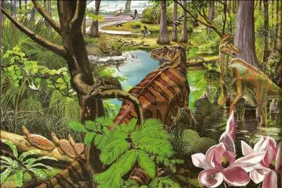 De quelle matire s'agit-il ?