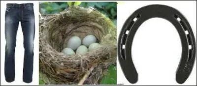 Cette clbrit est issue d'une tl-ralit :