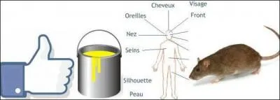 On cherche un(e) chanteur(euse) :