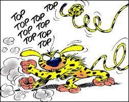 Violetta a-t-elle un animal de compagnie ?