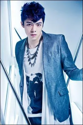 Qui est le danseur principal ?