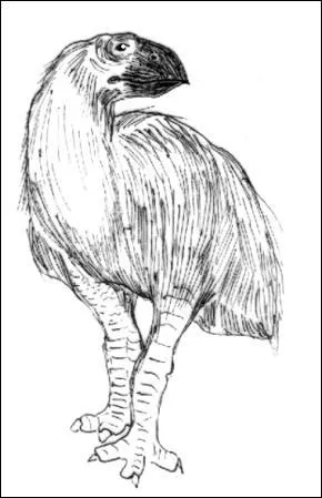 D'aprs les palontologues, de quel oiseau le gastornis (Palocne-Eocne) serait-il un parent ?