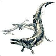 A quelle classe animale appartenait le basilosaure (Eocne) ?