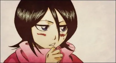Rukia a un faible pour :