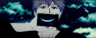 Combien y a-t-il de saisons dans Bleach (Pour le moment) ?