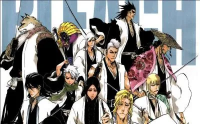 Quel est le capitaine de la treizime division ?