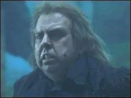 Dans quel ordre Peter Pettigrow a-t-il fourni les ingrdients  la potion pour faire renatre Voldemort ?