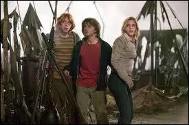 Comment s'appelle le (la) directeur (directrice) du camping o Amos Diggory et son fils Cdric plantent leur tente avant la Coupe du monde de quidditch ?